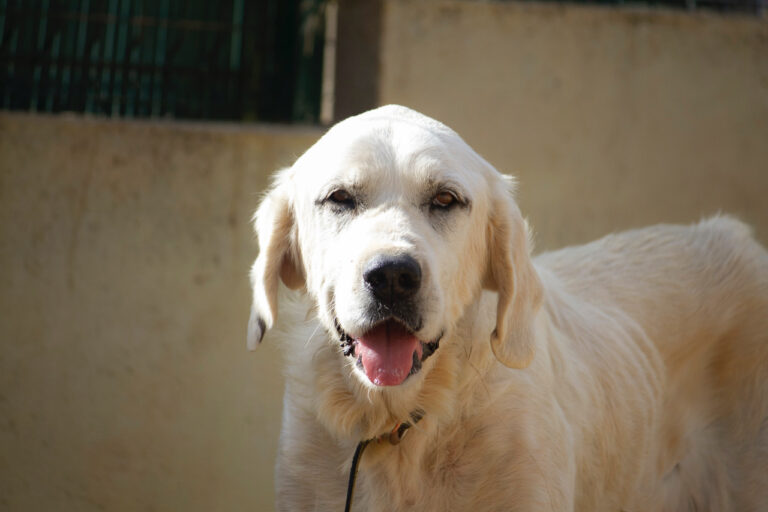 multimedia-foto77978-664-1