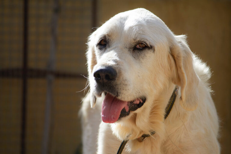 multimedia-foto77979-664-1