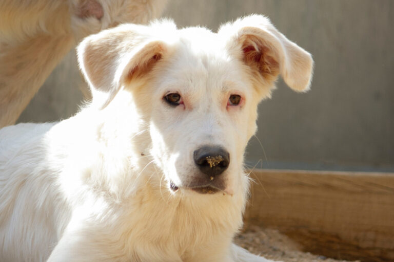 multimedia-foto77981-818-1