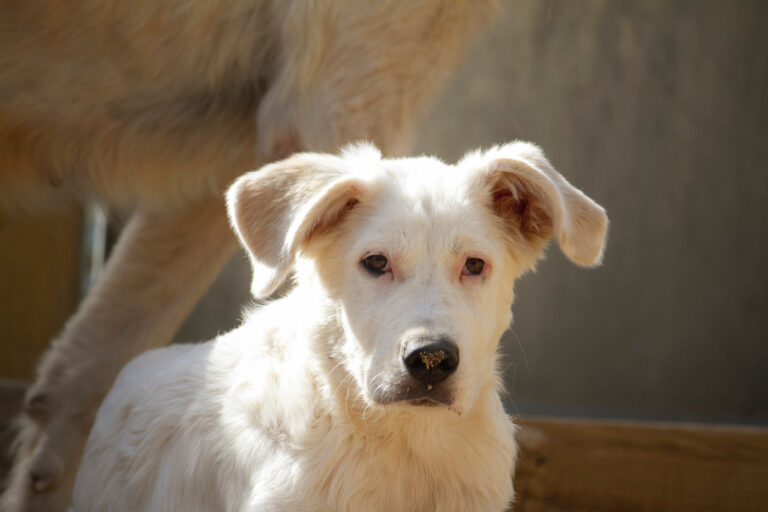 multimedia-foto77982-818-1