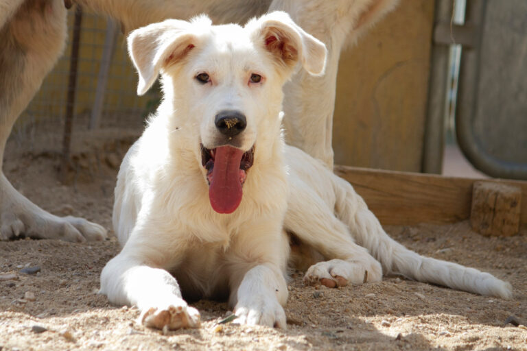 multimedia-foto77983-818-1