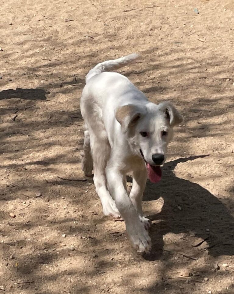 multimedia-foto77984-91-1