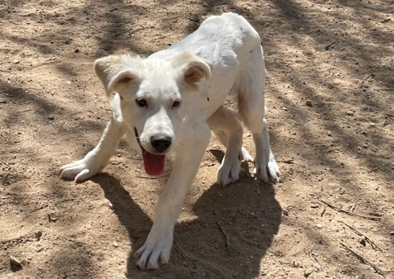 multimedia-foto77985-91-1