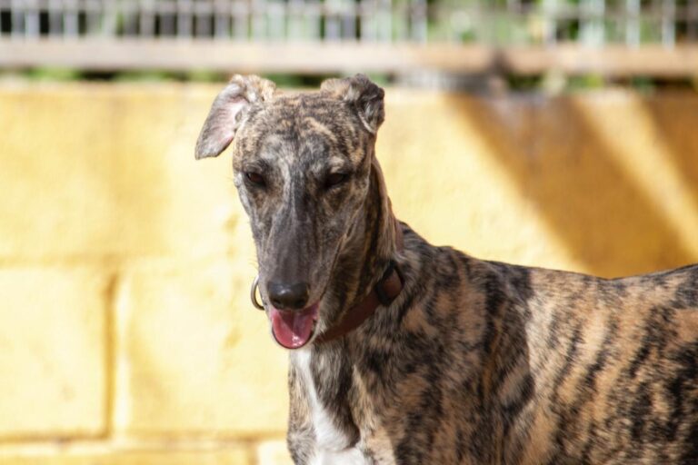 multimedia-foto77993-314-1