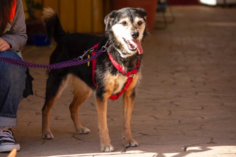 multimedia-foto78008-796-1