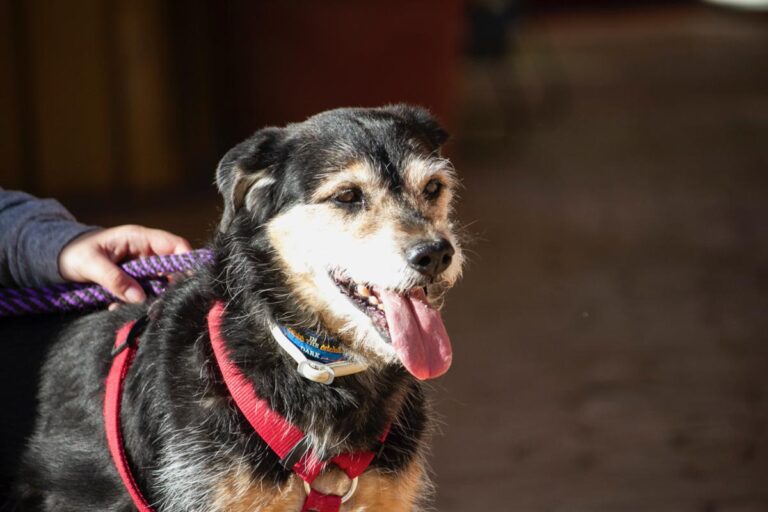 multimedia-foto78010-797-1