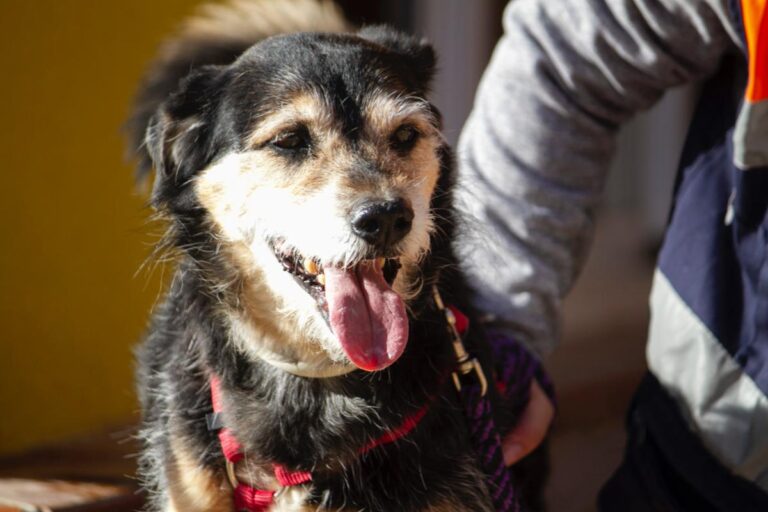 multimedia-foto78011-797-1