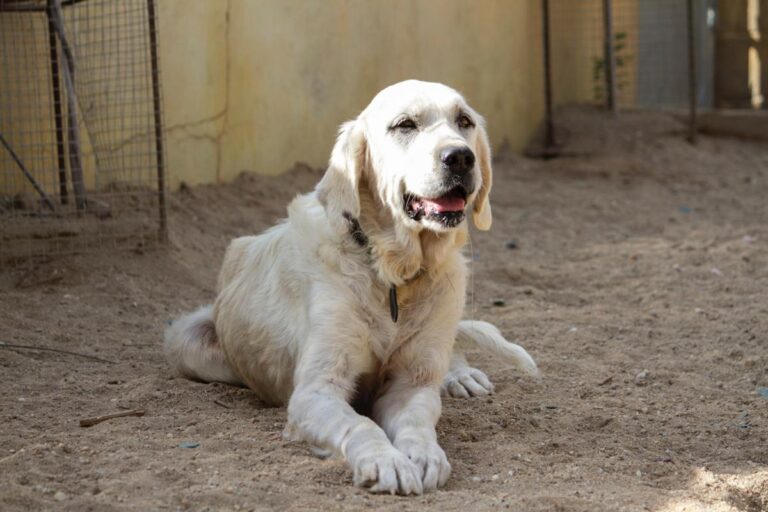 multimedia-foto78012-819-1