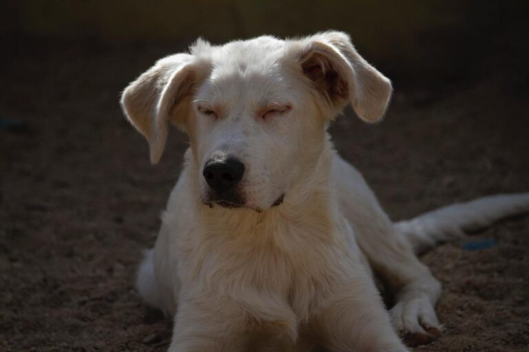 multimedia-foto78013-836-1