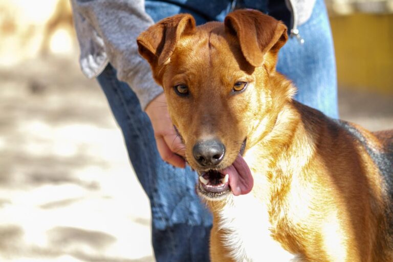 multimedia-foto78025-487-1