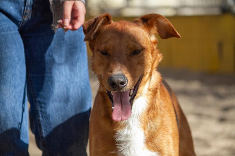 multimedia-foto78027-487-1