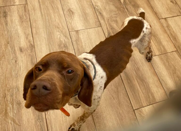 multimedia-foto78031-743-1