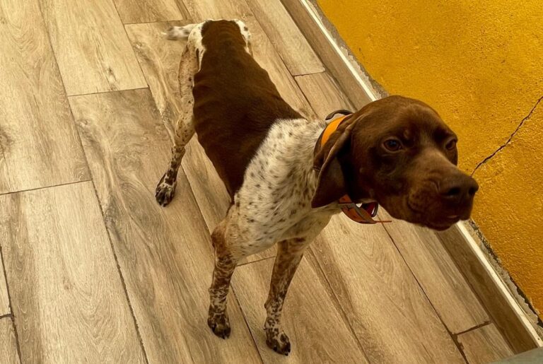 multimedia-foto78032-744-1