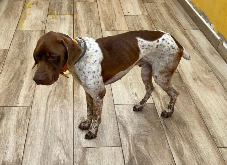 multimedia-foto78033-744-1