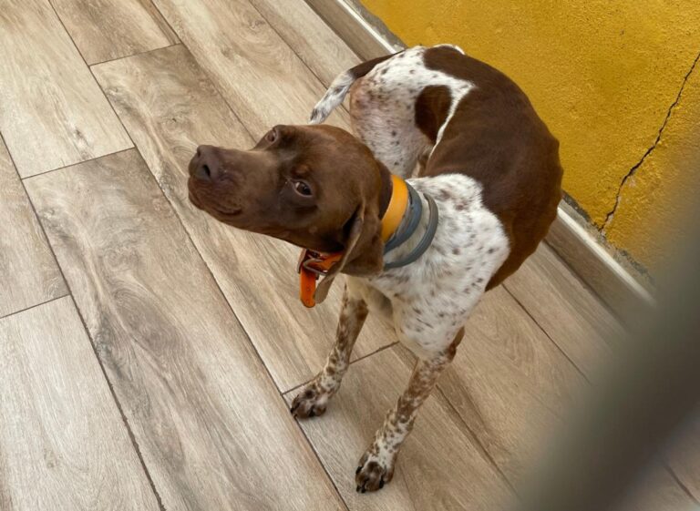 multimedia-foto78035-744-1