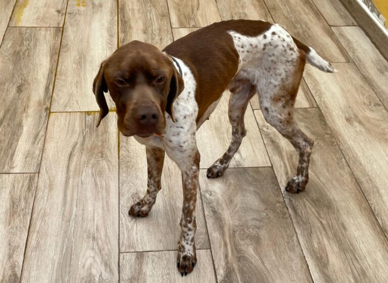 multimedia-foto78036-744-1