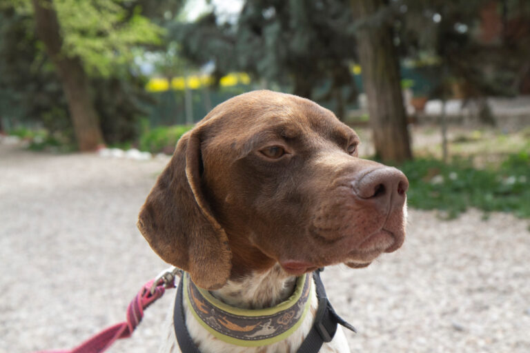 multimedia-foto78037-745-1