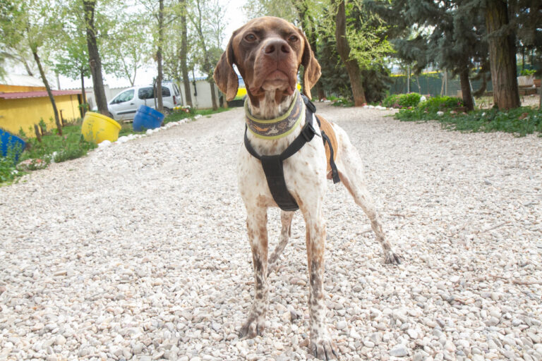 multimedia-foto78038-745-1