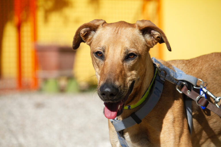 multimedia-foto78044-319-1