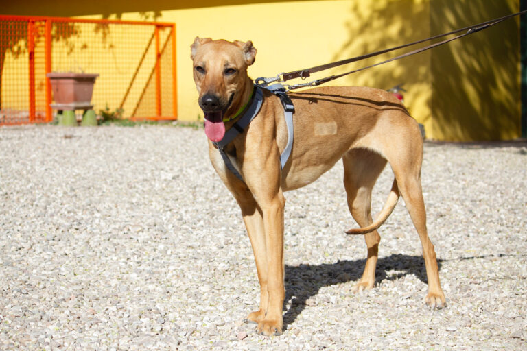 multimedia-foto78045-319-1