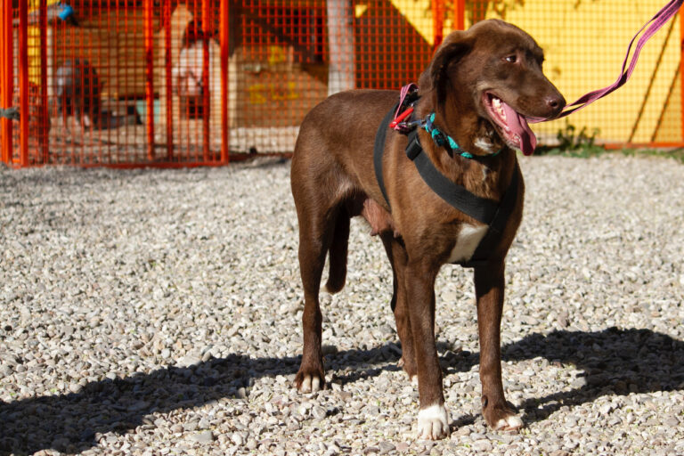 multimedia-foto78046-368-1