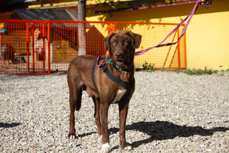 multimedia-foto78047-368-1