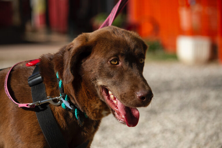 multimedia-foto78048-369-1