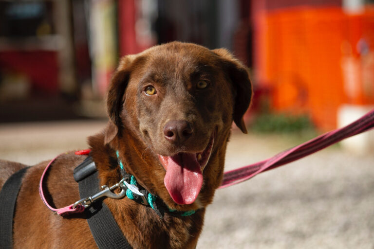 multimedia-foto78049-369-1