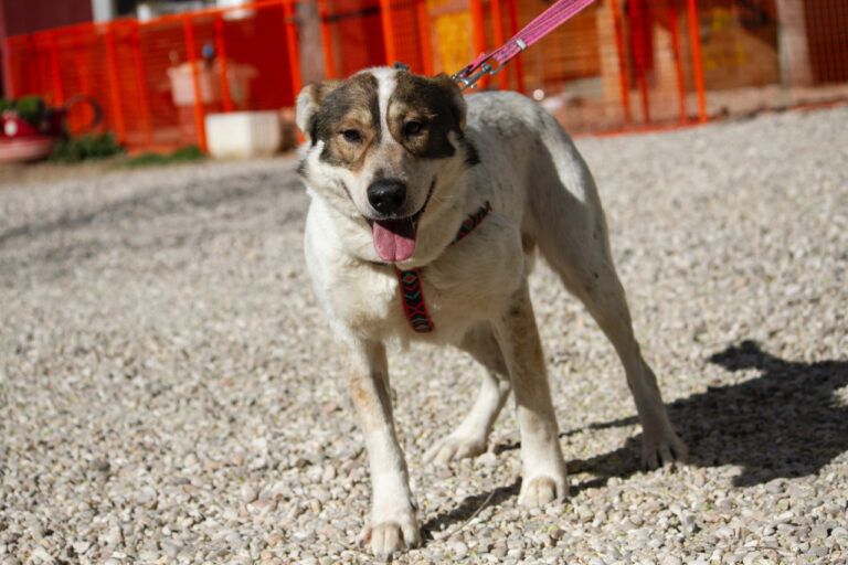 multimedia-foto78050-403-1