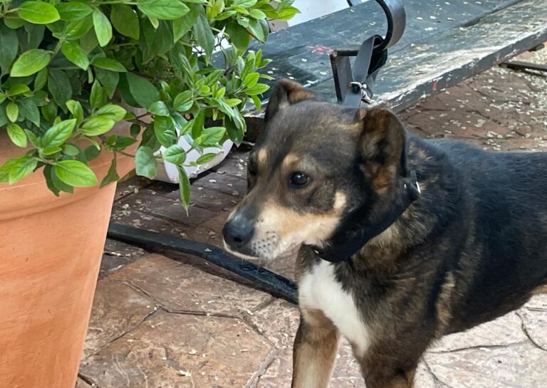 multimedia-foto78075-422-1