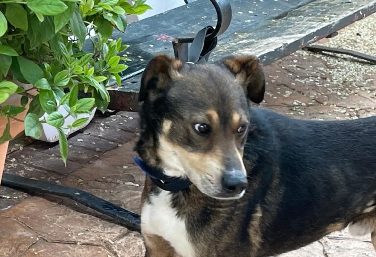 multimedia-foto78076-422-1