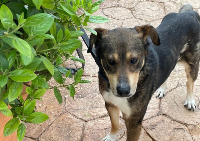 multimedia-foto78077-422-1