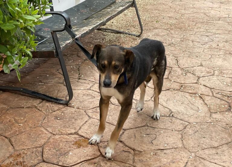 multimedia-foto78078-423-1