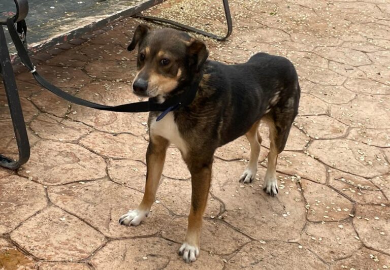 multimedia-foto78079-423-1