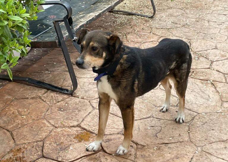 multimedia-foto78080-423-1