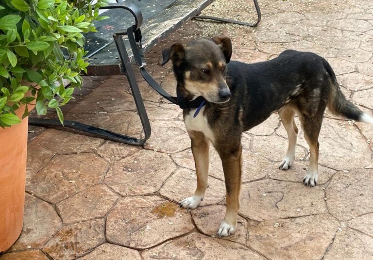 multimedia-foto78081-423-1