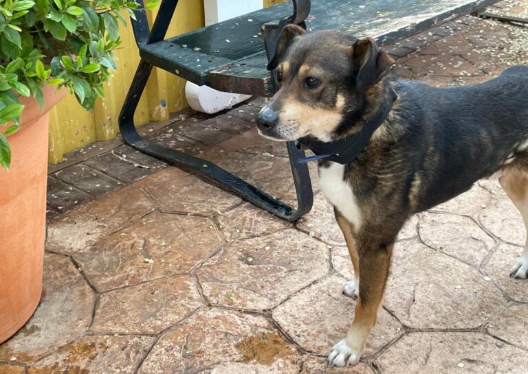 multimedia-foto78082-423-1