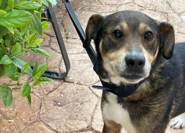 multimedia-foto78083-424-1