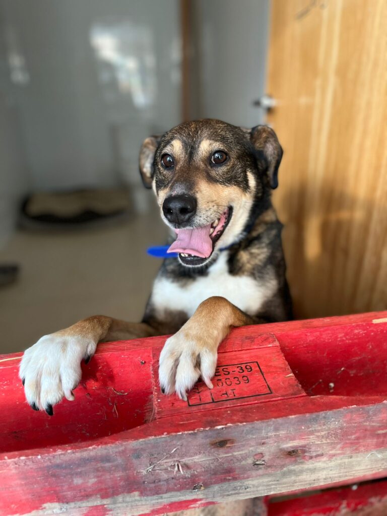 multimedia-foto78092-989-1