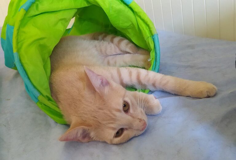 multimedia-foto78151-622-1