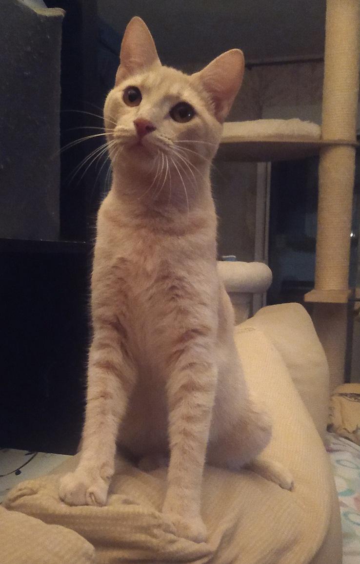 multimedia-foto78159-623-1