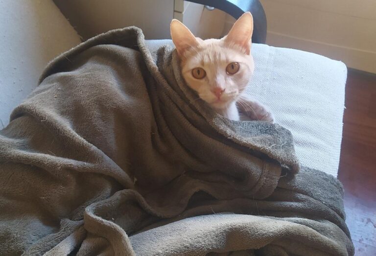 multimedia-foto78161-623-1