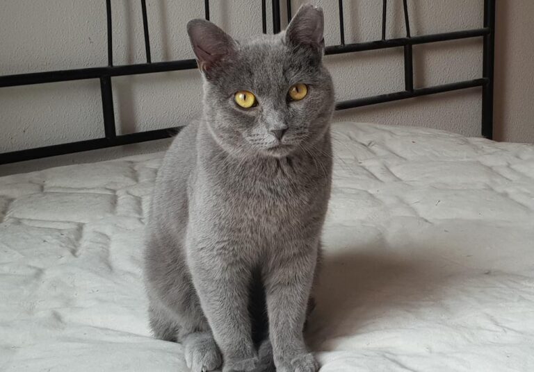 multimedia-foto78189-130-1