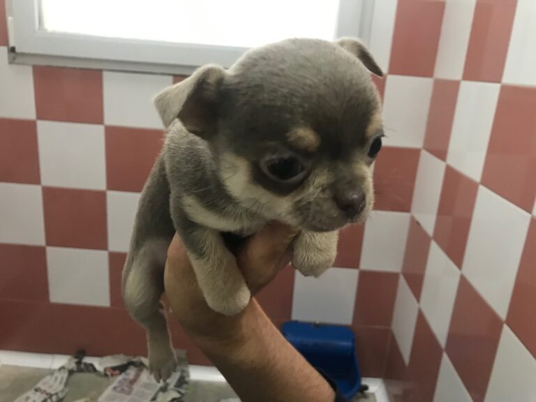 multimedia-foto78193-18-1