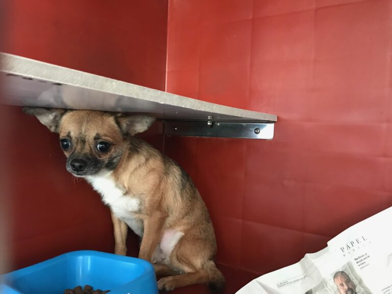 multimedia-foto78195-378-1