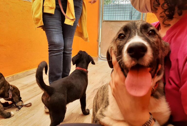 multimedia-foto78229-749-1