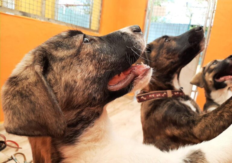 multimedia-foto78230-749-1