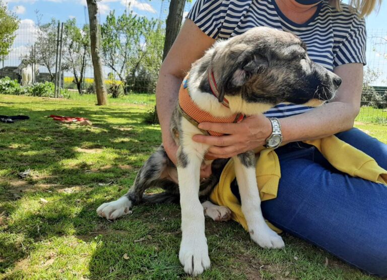 multimedia-foto78231-749-1