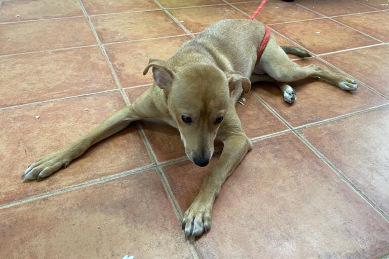 multimedia-foto78235-335-1