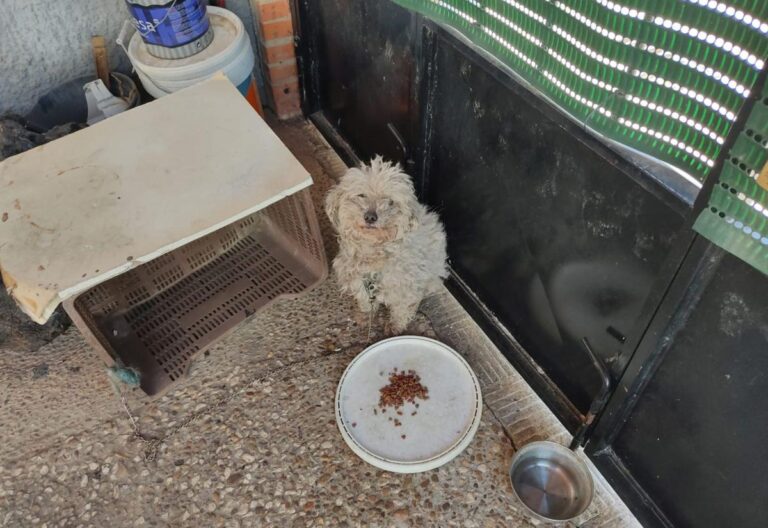 multimedia-foto78237-910-1